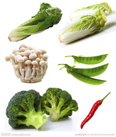 蔬菜圖片