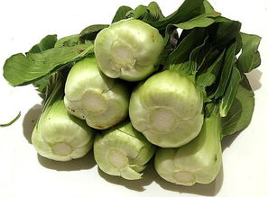 蔬菜 健康 食品圖片高清圖片免費(fèi)下載 jpg格式 編號(hào)15369042 千圖網(wǎng)