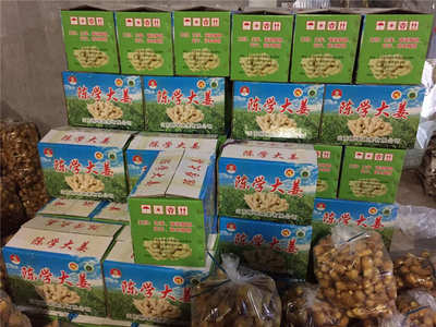 陳學(xué)大姜報(bào)價(jià)_廠家直銷實(shí)惠的大姜圖片|陳學(xué)大姜報(bào)價(jià)_廠家直銷實(shí)惠的大姜產(chǎn)品圖片由山東陳學(xué)蔬菜公司生產(chǎn)提供-