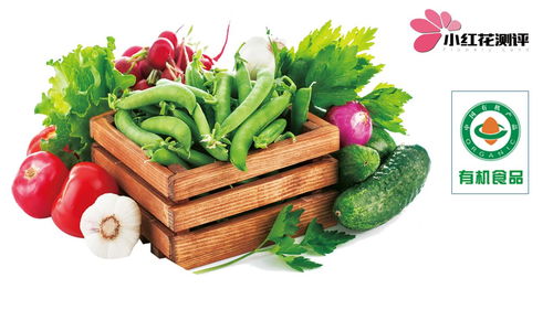 給寶寶吃有機(jī)食物值得嗎 用測(cè)評(píng)數(shù)據(jù)告訴你