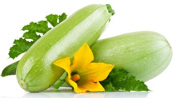 秋冬養胃，這些蔬菜助您健康過冬