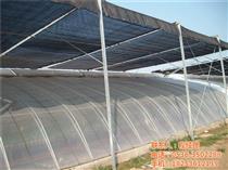 濰坊蔬菜溫室產品庫 優質農副產品的采購指南