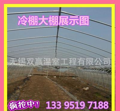 單體溫室大棚 山東地區(qū)蔬菜種植的高效解決方案