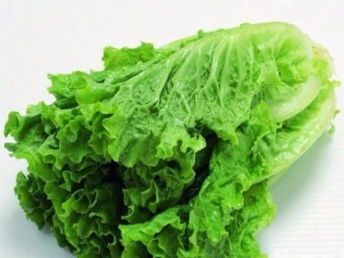 廣州市場大米、農副產品批發(fā)與大型蔬菜配送公司的全方位解析