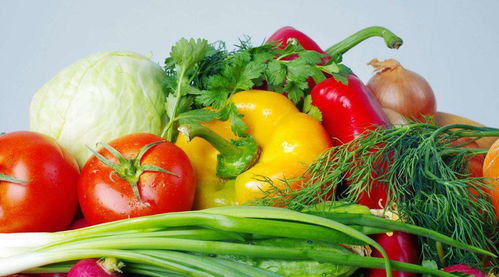 鮮靈靈，水嫩嫩——哪些蔬菜最適宜現(xiàn)摘現(xiàn)吃